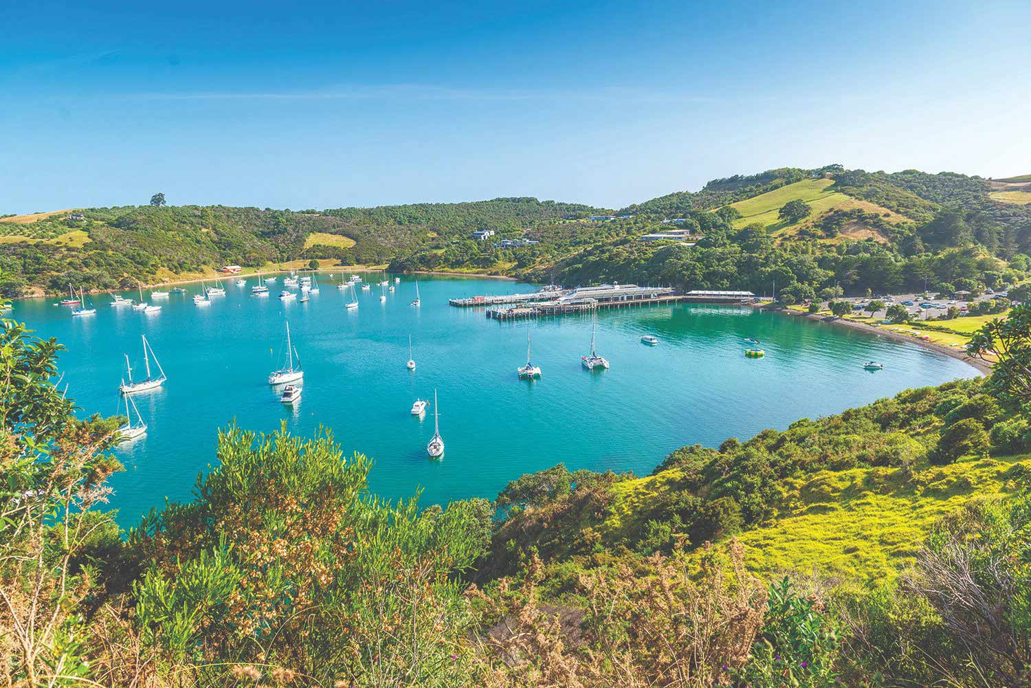 Waiheke Island – Beach, Wine, Things to do