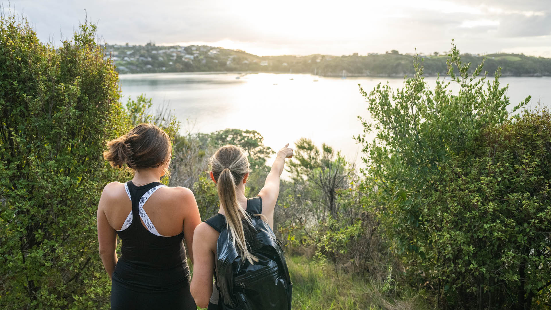 Waiheke Island views - Fullers360