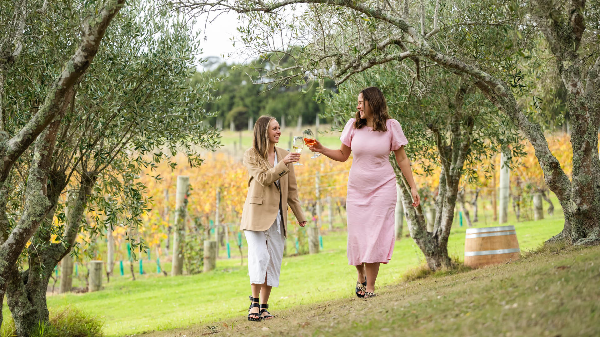 Waiheke Island vineyards - Fullers360