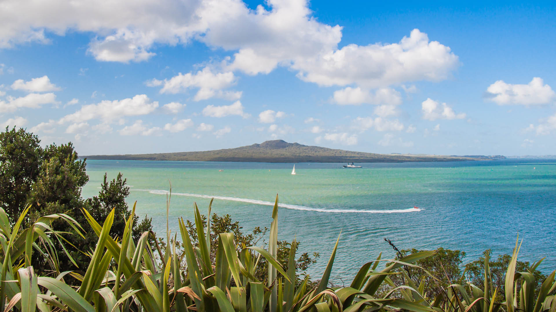 Auckland city views - Fullers360.jpg