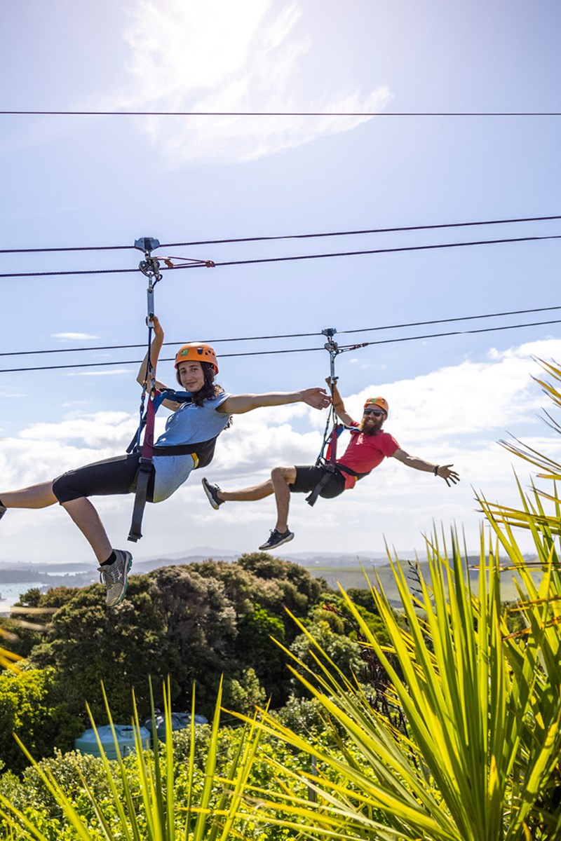 Ecozip Adventure Waiheke Island - Fullers360