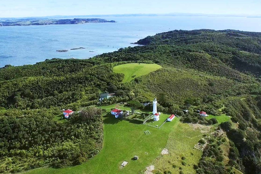 auckland corporate event hire fullers360 tiritiri matangi.jpg