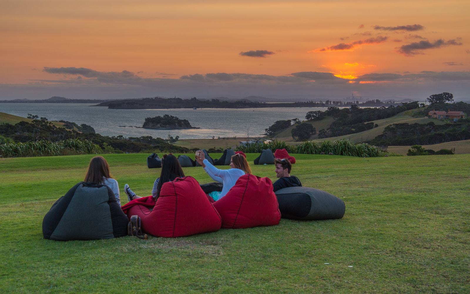 VE Cable Bay Vineyard2.jpg