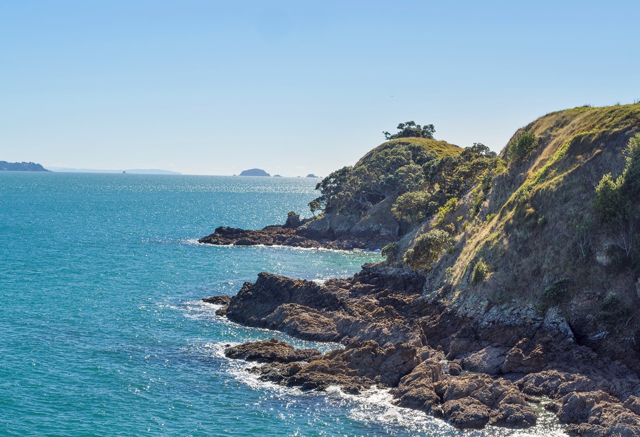 Oneroa Walking tracks 