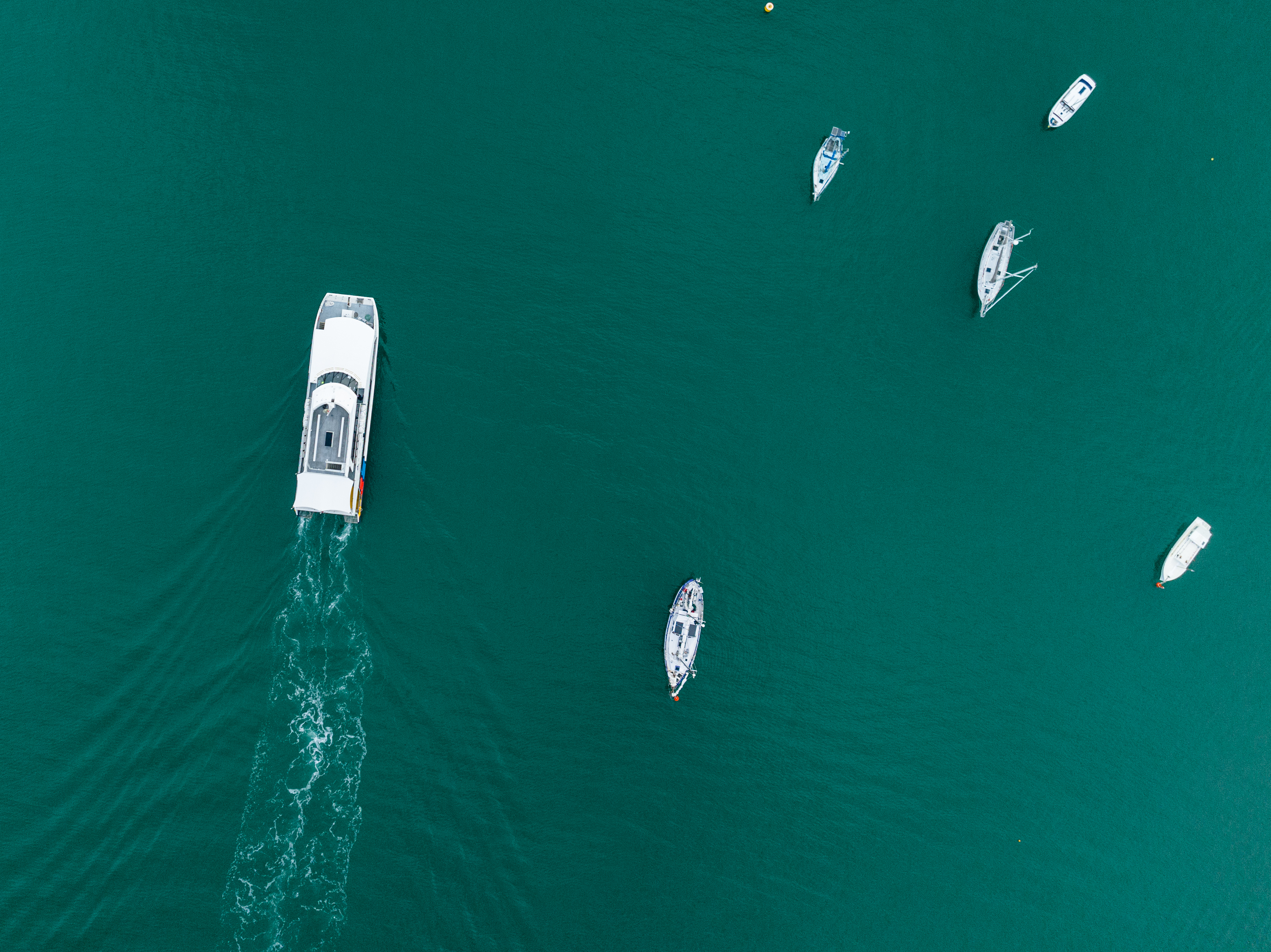 Aerial view of a Fullers360 ferry crossing the Waitematā Harbour toward Waiheke Island - Waiheke Weekly Pass