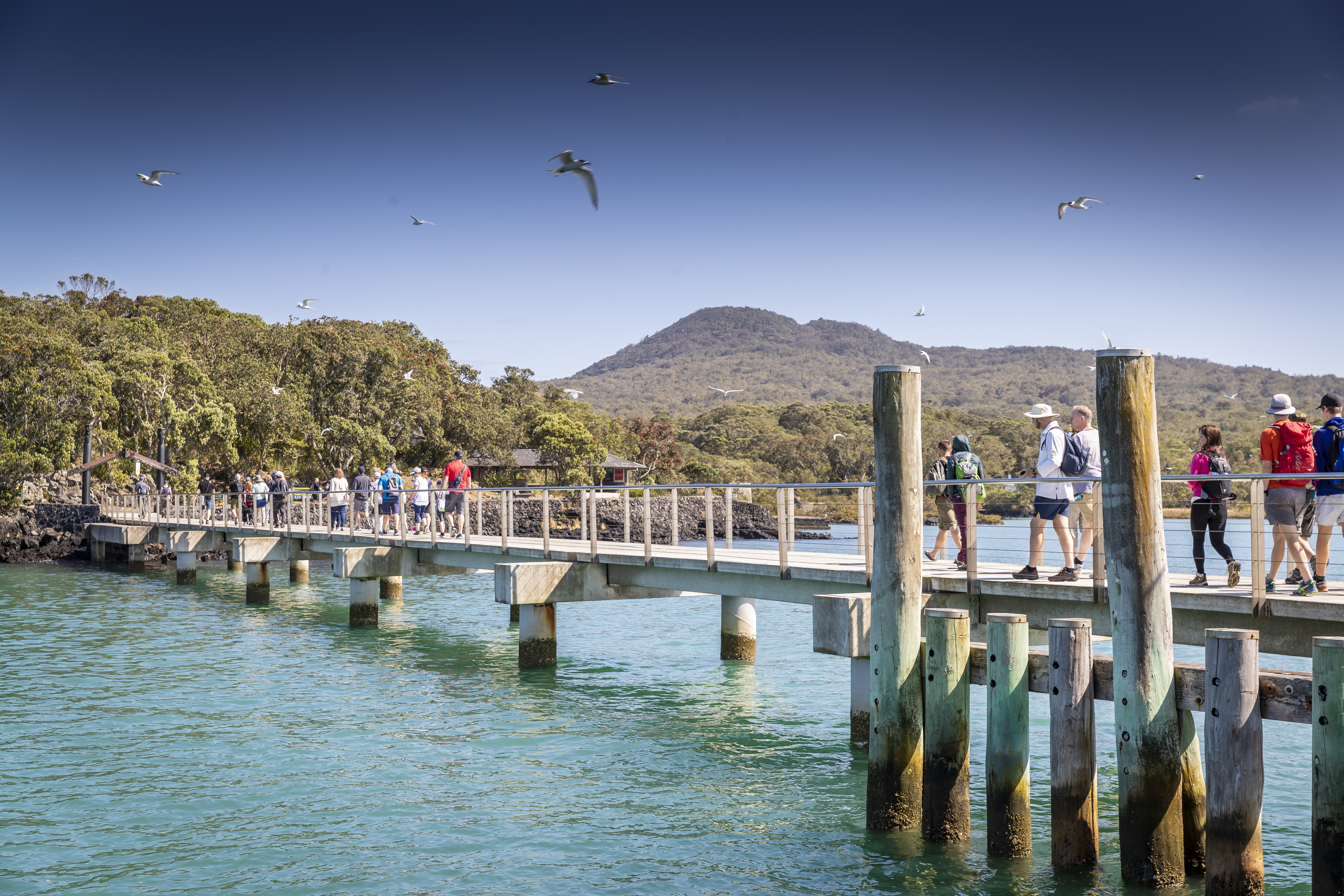 Rangitoto Wharf
